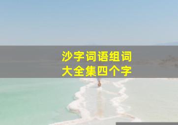 沙字词语组词大全集四个字