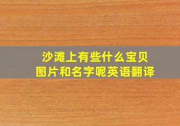 沙滩上有些什么宝贝图片和名字呢英语翻译