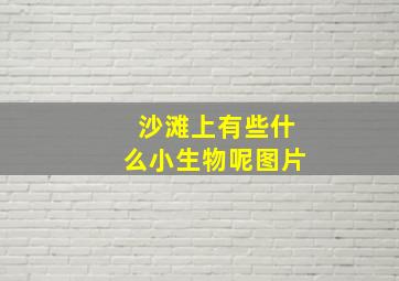 沙滩上有些什么小生物呢图片