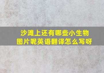 沙滩上还有哪些小生物图片呢英语翻译怎么写呀