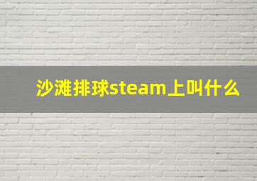 沙滩排球steam上叫什么