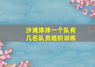 沙滩排球一个队有几名队员组织训练