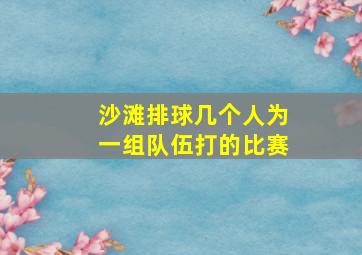 沙滩排球几个人为一组队伍打的比赛