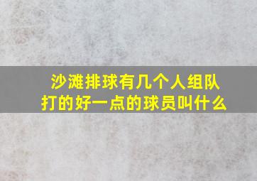 沙滩排球有几个人组队打的好一点的球员叫什么