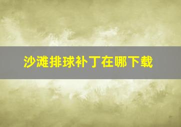 沙滩排球补丁在哪下载