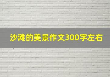 沙滩的美景作文300字左右