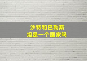 沙特和巴勒斯坦是一个国家吗