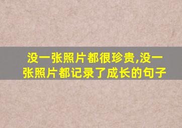 没一张照片都很珍贵,没一张照片都记录了成长的句子