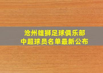 沧州雄狮足球俱乐部中超球员名单最新公布