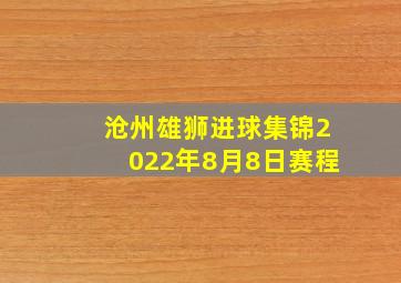 沧州雄狮进球集锦2022年8月8日赛程