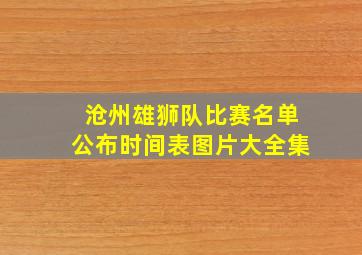 沧州雄狮队比赛名单公布时间表图片大全集