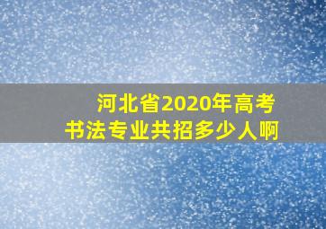 河北省2020年高考书法专业共招多少人啊