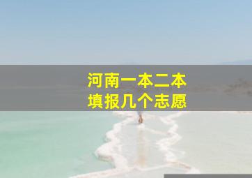 河南一本二本填报几个志愿