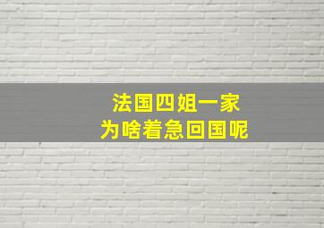 法国四姐一家为啥着急回国呢