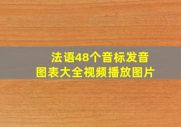 法语48个音标发音图表大全视频播放图片