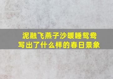 泥融飞燕子沙暖睡鸳鸯写出了什么样的春日景象