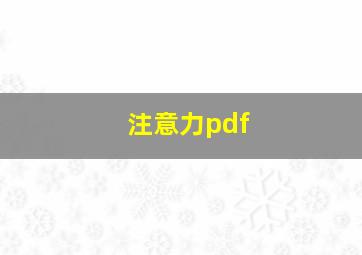 注意力pdf