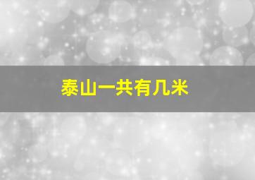 泰山一共有几米