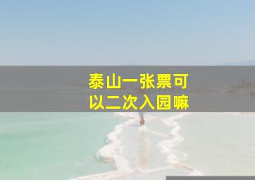 泰山一张票可以二次入园嘛