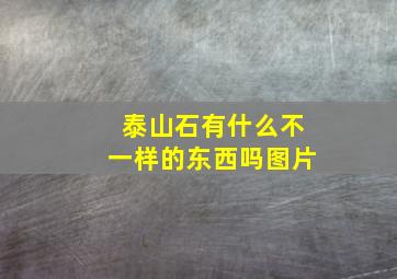 泰山石有什么不一样的东西吗图片