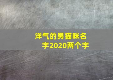 洋气的男猫咪名字2020两个字