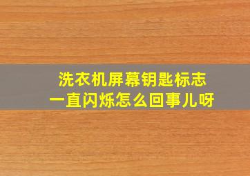 洗衣机屏幕钥匙标志一直闪烁怎么回事儿呀