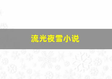 流光夜雪小说