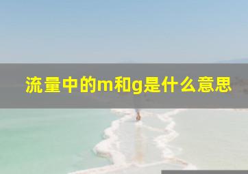 流量中的m和g是什么意思