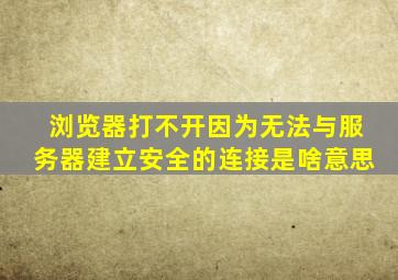 浏览器打不开因为无法与服务器建立安全的连接是啥意思