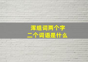 浑组词两个字二个词语是什么