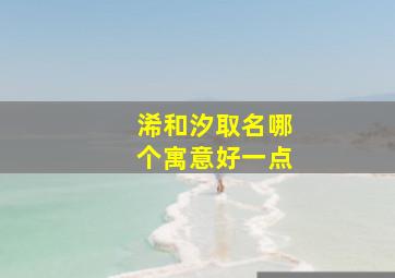 浠和汐取名哪个寓意好一点