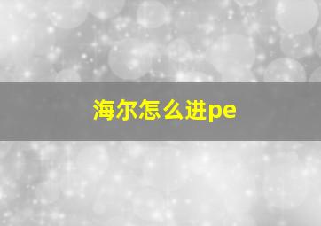 海尔怎么进pe