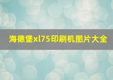 海德堡xl75印刷机图片大全