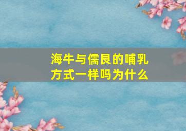 海牛与儒艮的哺乳方式一样吗为什么