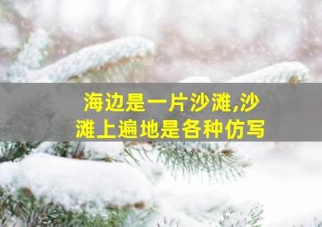 海边是一片沙滩,沙滩上遍地是各种仿写