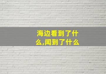 海边看到了什么,闻到了什么