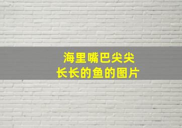 海里嘴巴尖尖长长的鱼的图片