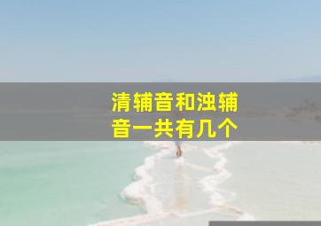 清辅音和浊辅音一共有几个