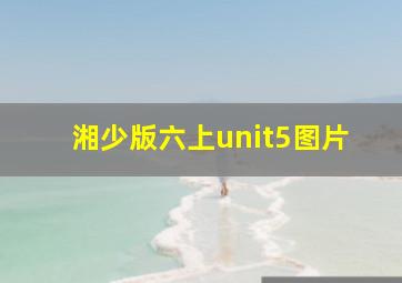 湘少版六上unit5图片