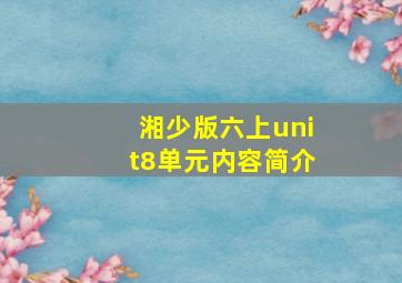 湘少版六上unit8单元内容简介