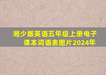 湘少版英语五年级上册电子课本词语表图片2024年