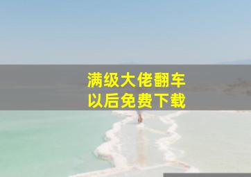 满级大佬翻车以后免费下载