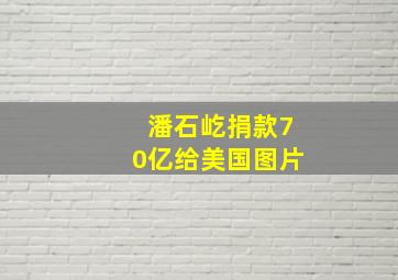 潘石屹捐款70亿给美国图片