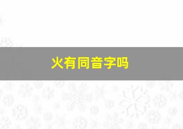 火有同音字吗