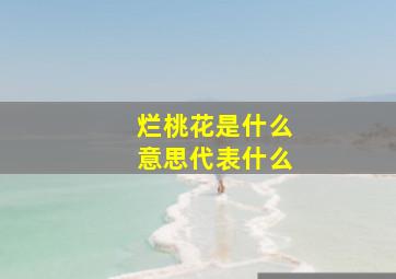 烂桃花是什么意思代表什么