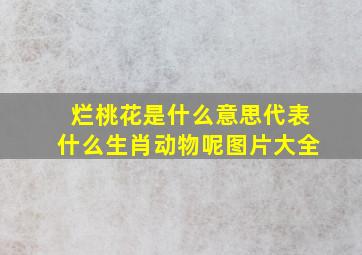 烂桃花是什么意思代表什么生肖动物呢图片大全