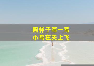 照样子写一写小鸟在天上飞