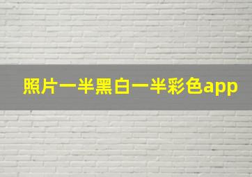 照片一半黑白一半彩色app