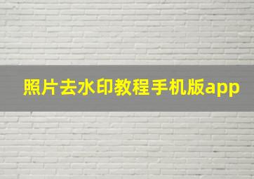 照片去水印教程手机版app