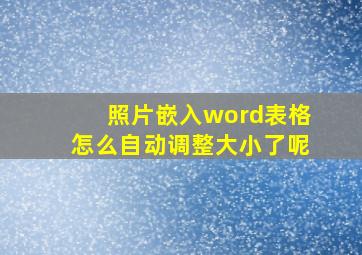 照片嵌入word表格怎么自动调整大小了呢